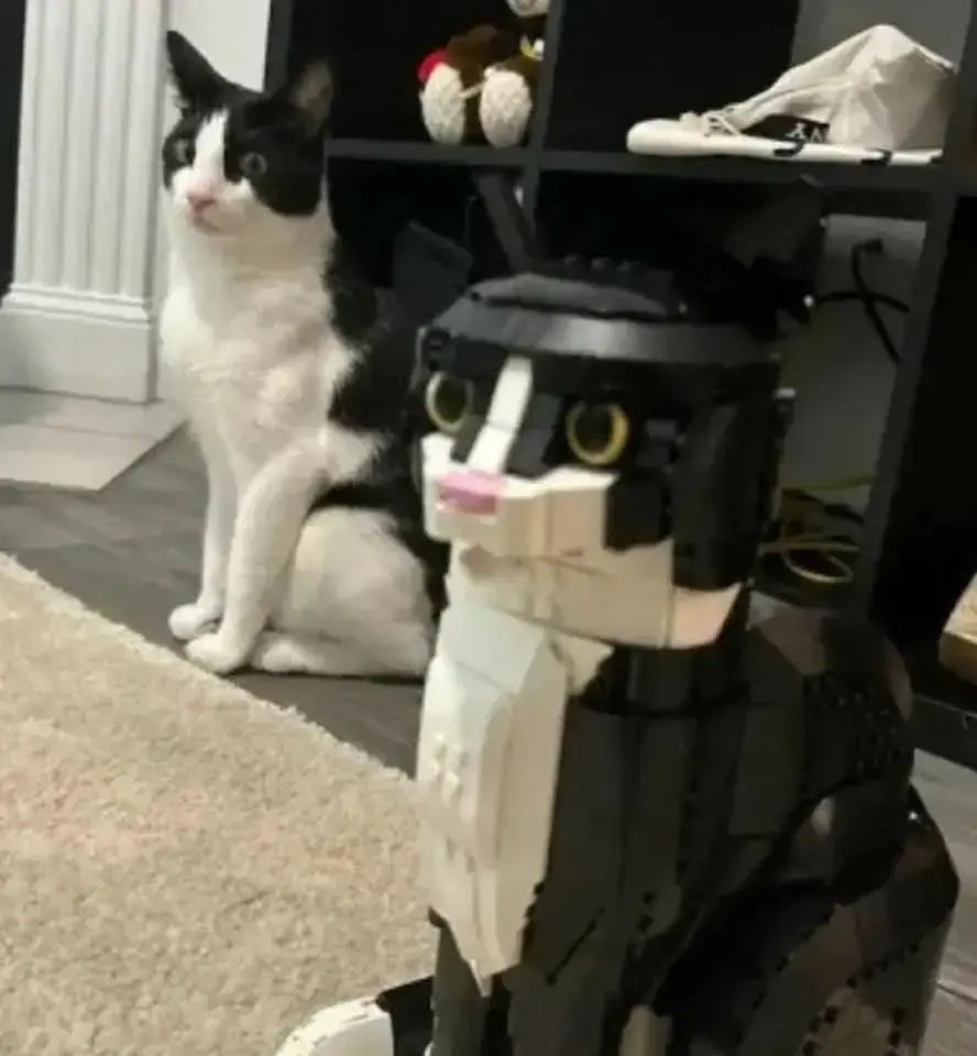 Image prise dans un salon d'un logement. On y voit au premier plan un chat en Lego, noir et blanc, en position assise. Au second plan, on voit un vrai chat, noir et blanc également, assis également, regarder le chat en Lego avec de grands yeux, donnant l'impression qu'il en est méfiant/qu'il en a peur.
